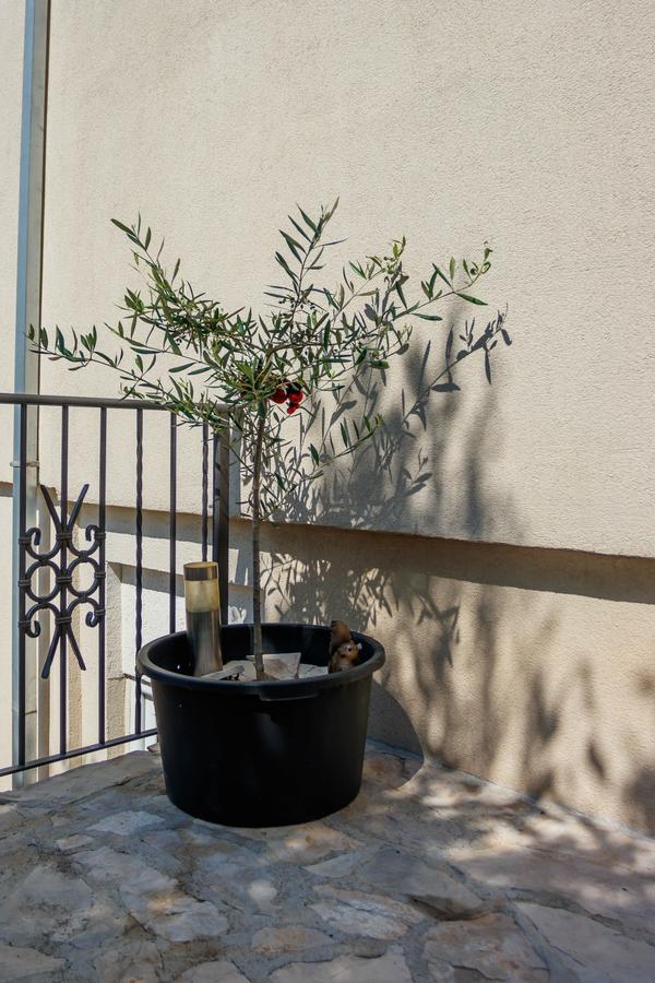 Apartmani Petar Tivat Luaran gambar
